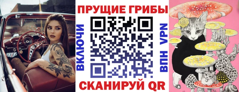 продажа наркотиков  Игра  Галлюциногенные грибы GOLDEN TEACHER 